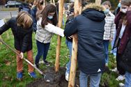 College plantte drie klimaatbomen