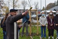 College plantte drie klimaatbomen