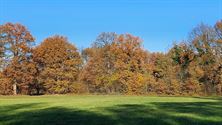 Genieten van herfstkleuren en -geuren