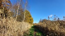 Genieten van herfstkleuren en -geuren