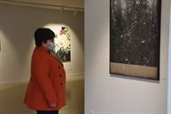 Winterblomme: een verademing in een sombere tijd