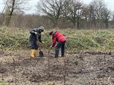 Beweging.net plant 600 bomen in Laambroeken