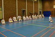 Hoog karatebezoek uit Japan in Bolderberg