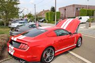 Amerikaanse flikkenbakken op Mustang Fever
