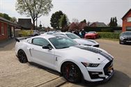 Amerikaanse flikkenbakken op Mustang Fever