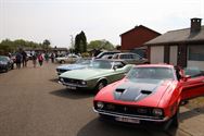 Amerikaanse flikkenbakken op Mustang Fever
