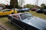 Amerikaanse flikkenbakken op Mustang Fever