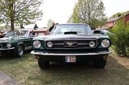 Amerikaanse flikkenbakken op Mustang Fever