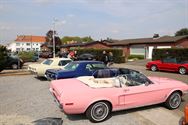 Amerikaanse flikkenbakken op Mustang Fever