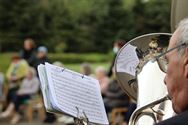 Ware Vrienden zetten Zolder muzikaal op stelten