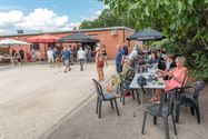 Petanque op hoog ... amusementsniveau