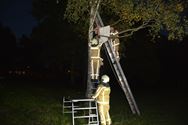 Rampoefening met vliegtuigcrash op kamp in Boekt