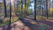 Zonnig zachte herfst aan de Kluis