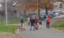 Weyekersgasten op pad met de honden