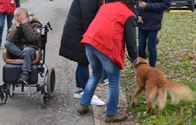 Weyekersgasten op pad met de honden