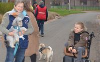 Weyekersgasten op pad met de honden