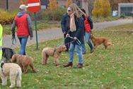 Weyekersgasten op pad met de honden