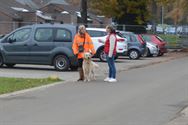 Weyekersgasten op pad met de honden