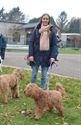 Weyekersgasten op pad met de honden