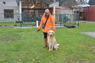 Weyekersgasten op pad met de honden