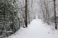 Winterbeelden uit het Bolderdal