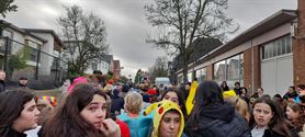 Alaaf in 't Molenholleke