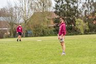 Enthousiasme van baseballspelers en hun supporters