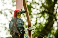 De natuur wordt opgeslorpt door de kunst