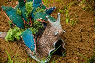 De natuur wordt opgeslorpt door de kunst