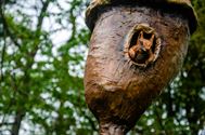 De natuur wordt opgeslorpt door de kunst