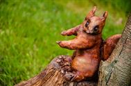 De natuur wordt opgeslorpt door de kunst