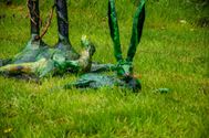 De natuur wordt opgeslorpt door de kunst