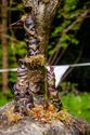 De natuur wordt opgeslorpt door de kunst