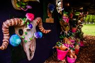 De natuur wordt opgeslorpt door de kunst