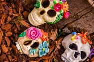De natuur wordt opgeslorpt door de kunst