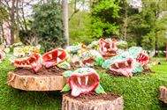 De natuur wordt opgeslorpt door de kunst