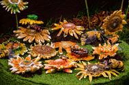 De natuur wordt opgeslorpt door de kunst