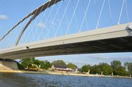 Grote zwaluwpopulatie huist aan brug Viversel