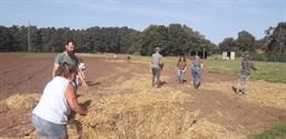 De Grune Grond: biologisch en natuurvriendelijk