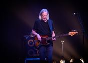 The Animals and Friends still live and kicking