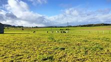 Pasar ging op zoek naar de megalieten van Wéris