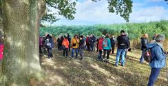 Pasar ging op zoek naar de megalieten van Wéris