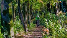 Fietsen op trage wegen: Trampad