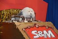 Samson en Metejoor bouwen leesfeest in Leerplaneet