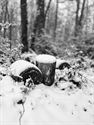 Heusden-Zolder in de sneeuw
