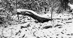 Heusden-Zolder in de sneeuw