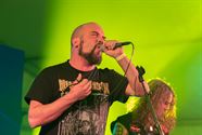 The Locals: muzikaal breder dan ooit