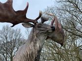 Megaloceros op sokkel voor kasteel Meylandt