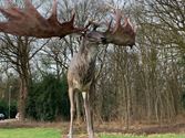 Megaloceros op sokkel voor kasteel Meylandt