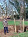 Nieuwe verbroederingsbomen geplant op Meylandt